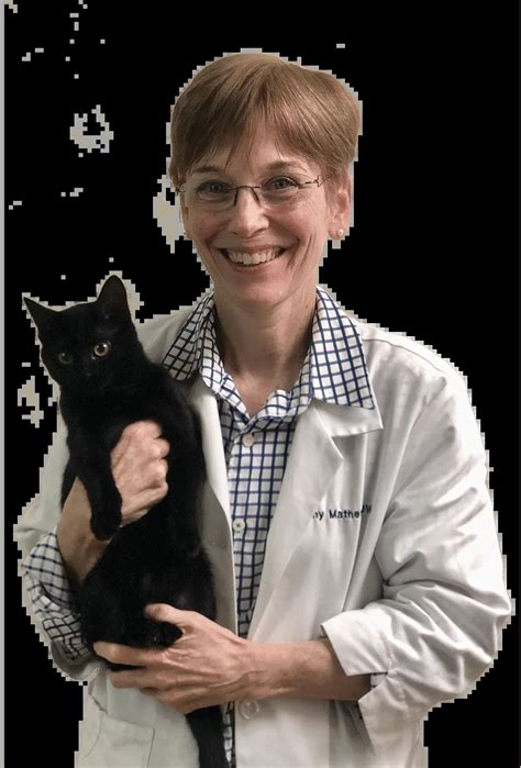 the village vets westside|Westside Vet Centre .